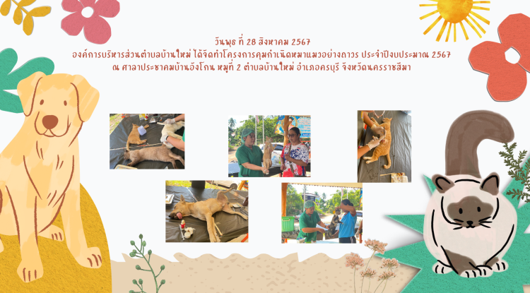 วันที่ 28 สิงหาคม 2567 องค์การบริหารส่วนตำบลบ้านใหม่ได้จัดทำโครงการคุมกำเนิดหมาแมวอย่างถาวร ณ ศาลาประชาคมบ้านอังโกน หมูที่ 2 