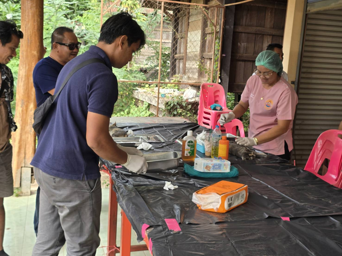โครงการคุมกำเนิดสุนัขและแมวอย่างถาวร ประจำปี 2569