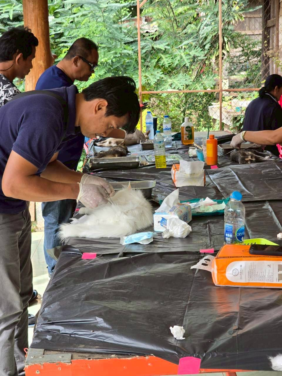 โครงการคุมกำเนิดสุนัขและแมวอย่างถาวร ประจำปี 2569