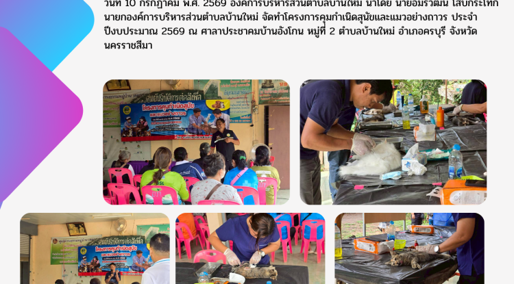 โครงการคุมกำเนิดสุนัขและแมวอย่างถาวร ประจำปี 2569